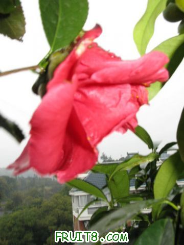 IMG_9359.JPG