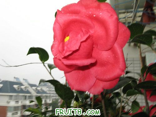 IMG_9352.JPG