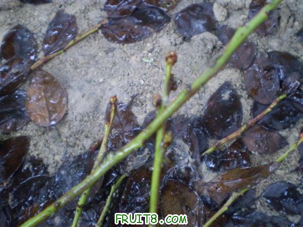 P2200005 (С��).JPG