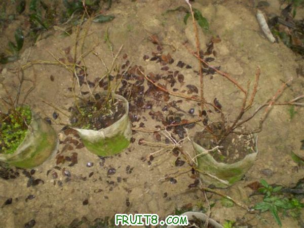 P2200017 (С��).JPG