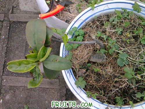 �����á����������