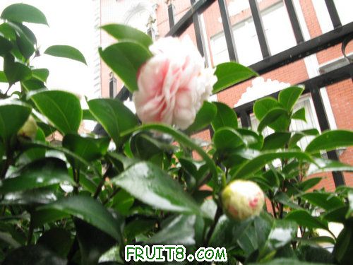 IMG_9683.JPG