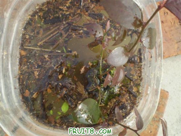 P2210002 (С��).JPG