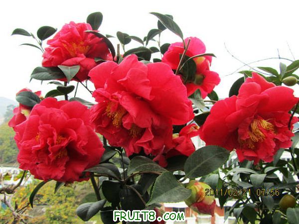 IMG_1635_1.JPG