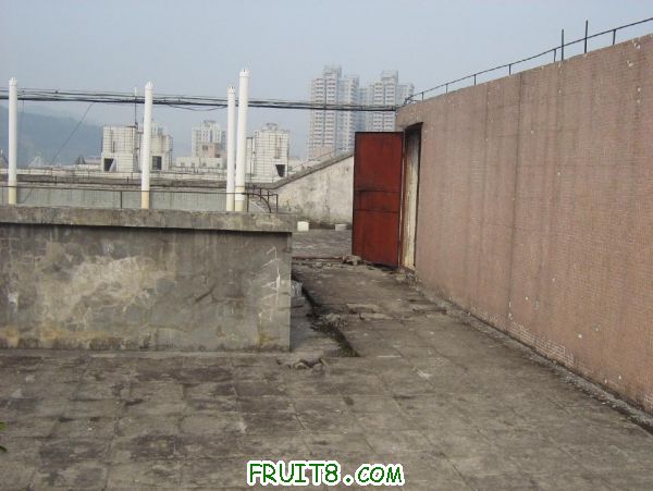 Table_IMG_0305.jpg