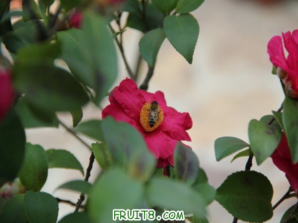 IMG_0540.jpg
