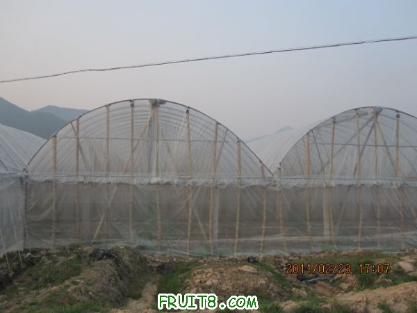 IMG_4239.JPG
