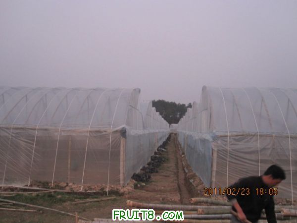 IMG_4251.JPG