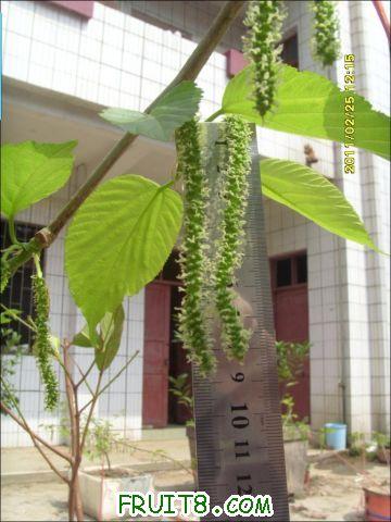 9.JPG