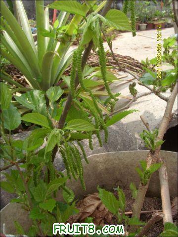 5.JPG