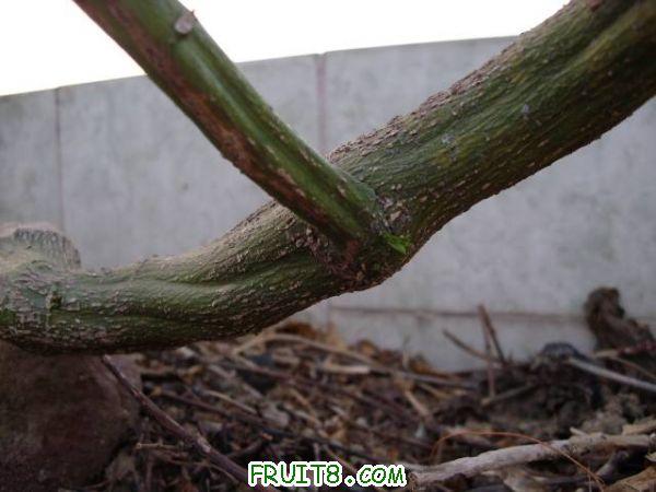 IMG_0022_nEO_IMG.jpg