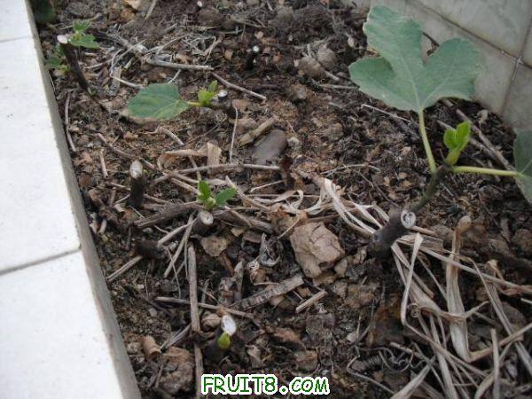 IMG_0016_nEO_IMG.jpg