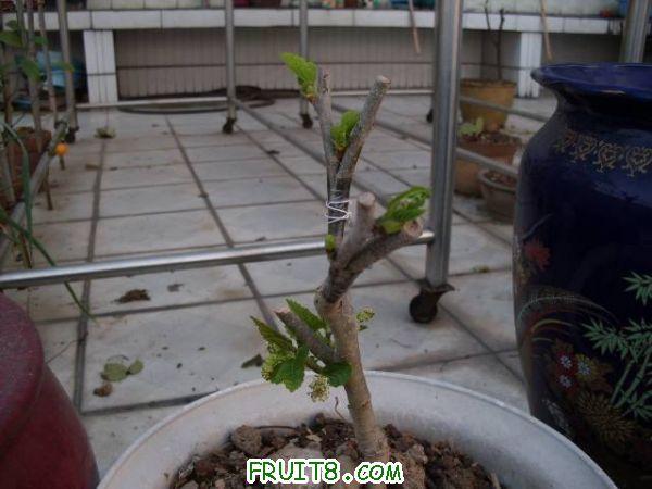 IMG_0019_nEO_IMG.jpg