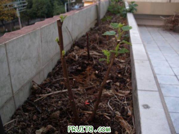 IMG_0030_nEO_IMG.jpg