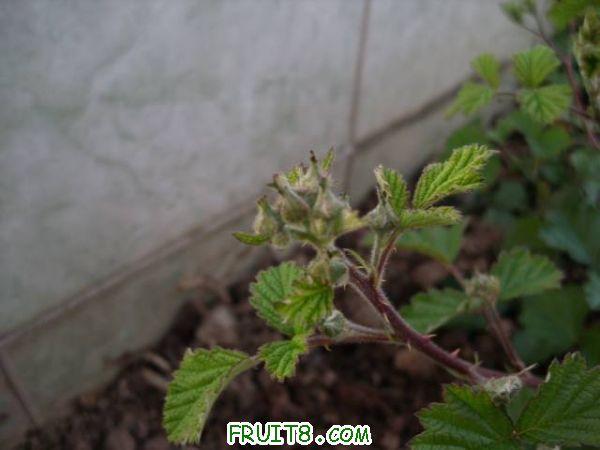 IMG_0025_nEO_IMG.jpg