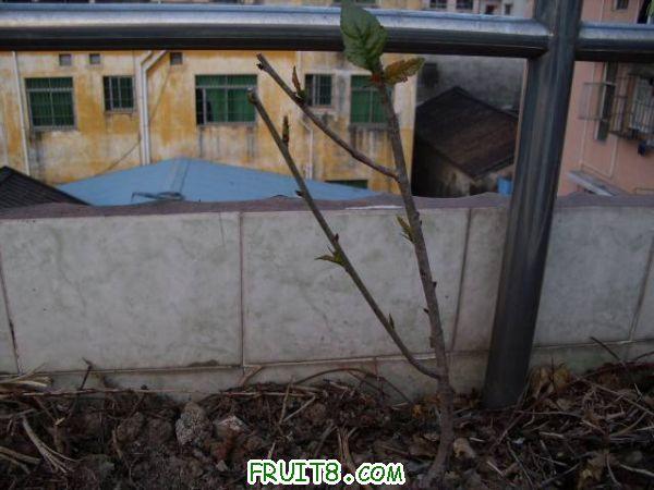 IMG_0020_nEO_IMG.jpg