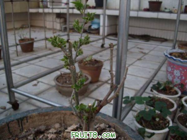 IMG_0015_nEO_IMG.jpg