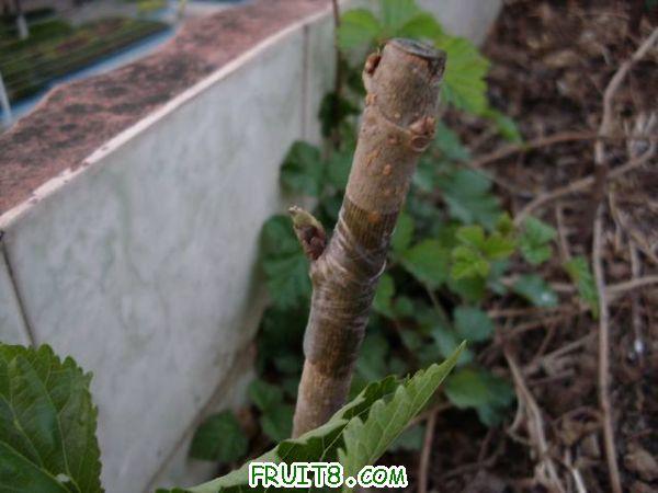 IMG_0028_nEO_IMG.jpg