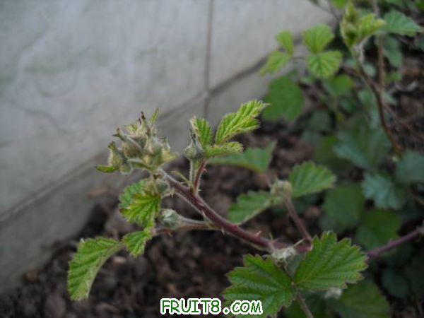 IMG_0026_nEO_IMG.jpg