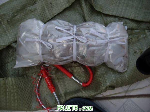 IMG_0007_nEO_IMG.jpg