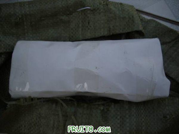 ĳ���̵Ĳ�ݮ�磨������©��һ��Ʒ�ֵ���û���ʼĸ��ң�