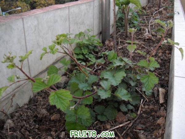 IMG_0024_nEO_IMG.jpg