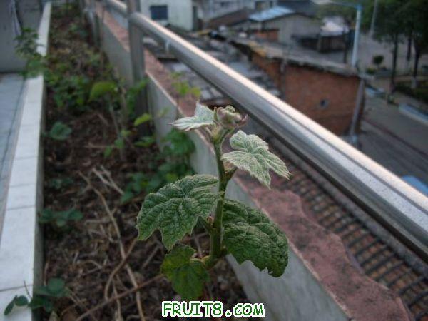 IMG_0023_nEO_IMG.jpg