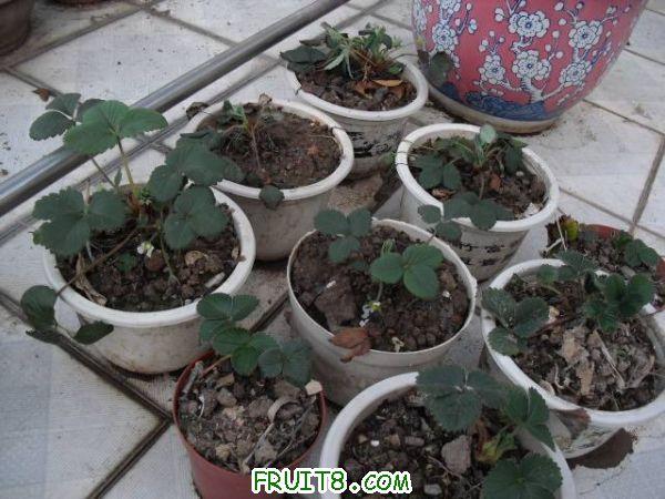 IMG_0017_nEO_IMG.jpg