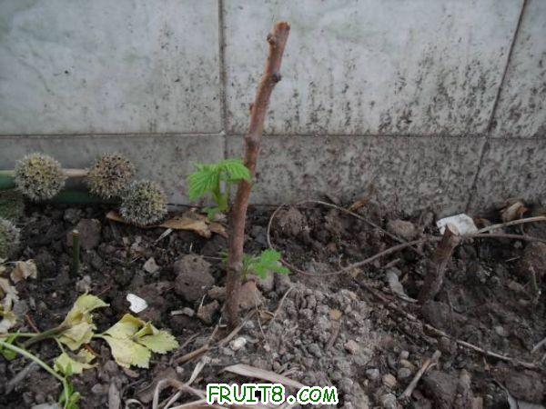 IMG_0034_nEO_IMG.jpg