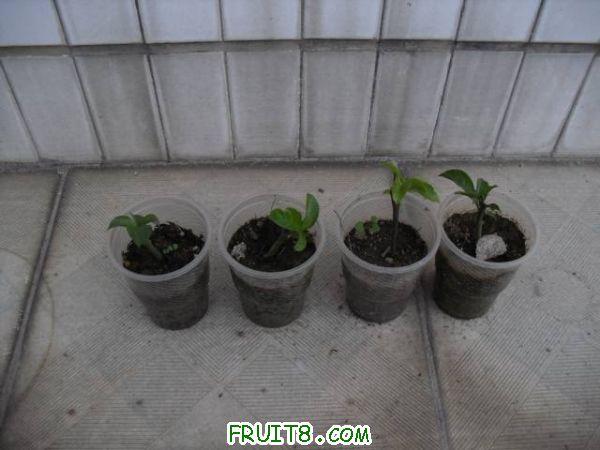 IMG_0033_nEO_IMG.jpg
