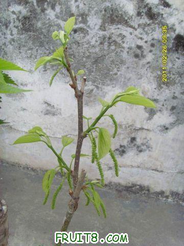 ������С SI850730.JPG