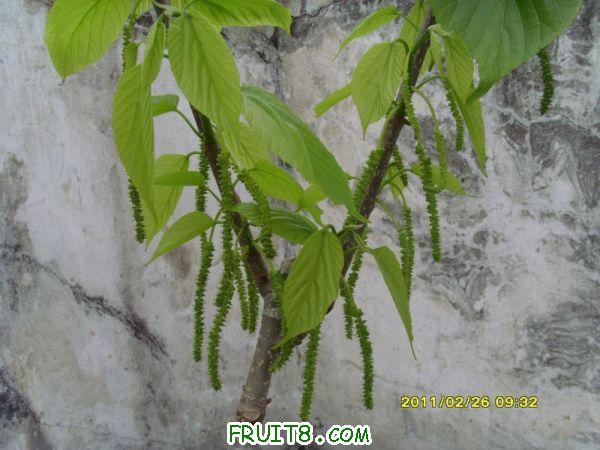 ������С SI850719.JPG