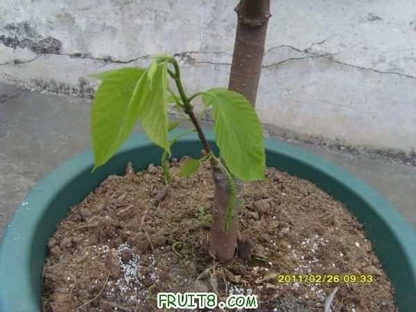 ������С SI850724.JPG