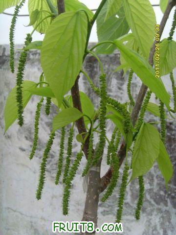 ������С SI850722.JPG