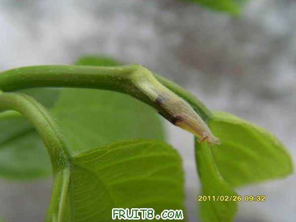 ������С SI850720.JPG