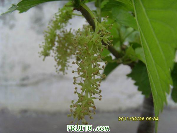 ������С SI850727.JPG