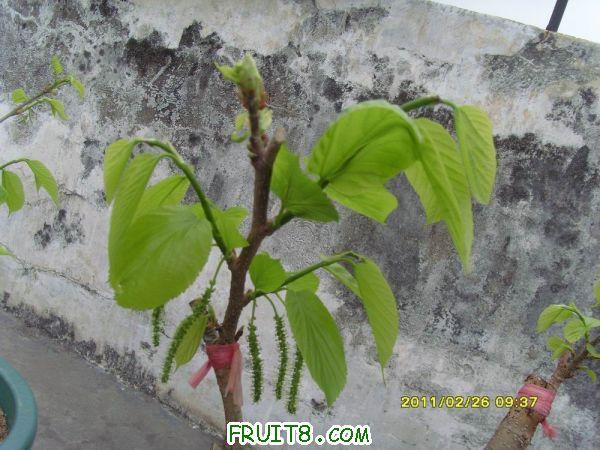 ������С SI850739.JPG