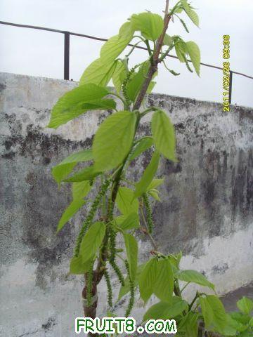 ������С SI850735.JPG