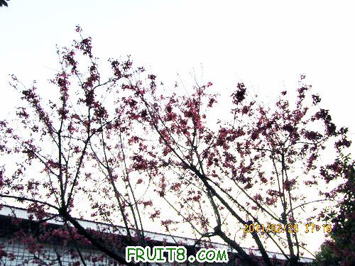 IMG_2170.jpg