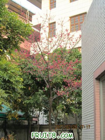 IMG_2183.jpg
