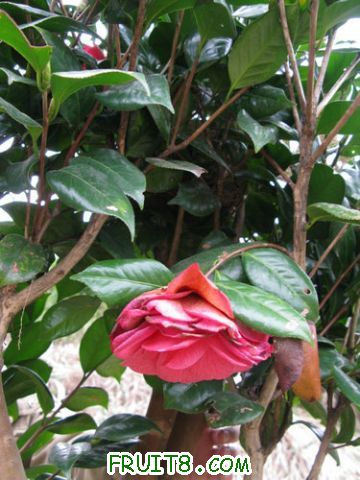 IMG_0397.jpg