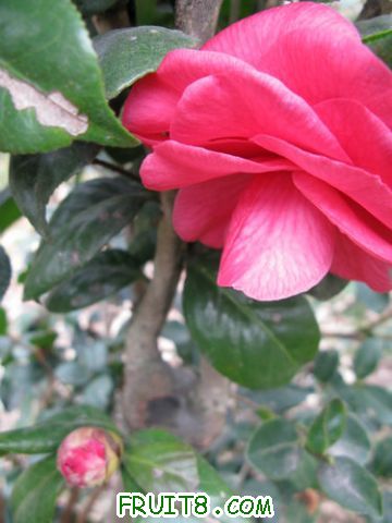 IMG_0426.jpg