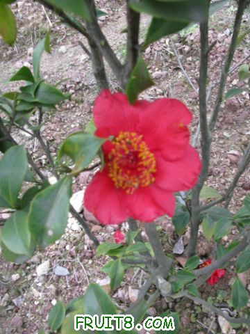 IMG_0468.jpg