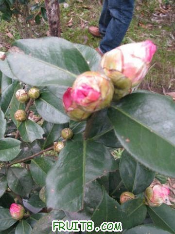 IMG_0537.jpg