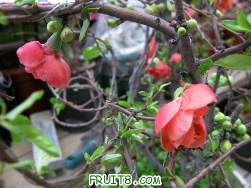 IMG_0705.jpg