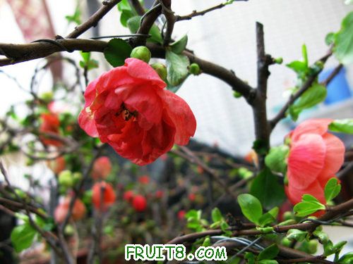 IMG_0707.jpg