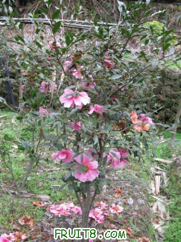 IMG_0567.jpg