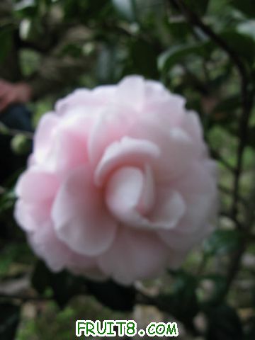 IMG_0577.jpg