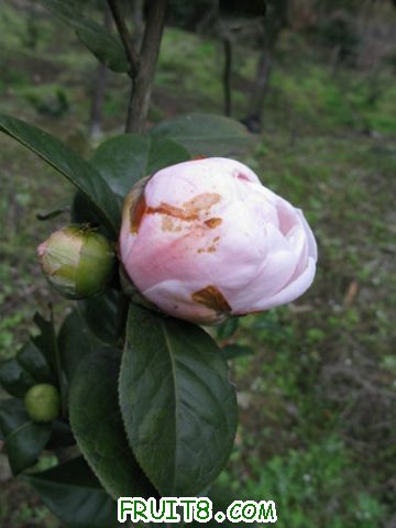 IMG_0586.jpg