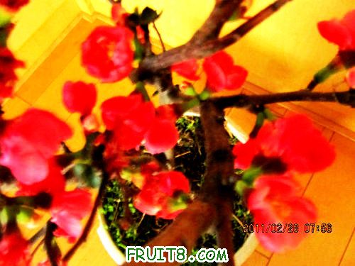 IMG_2447.JPG